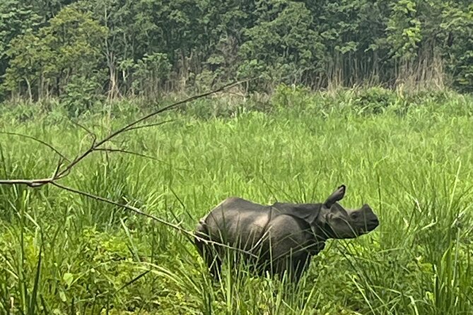 3-Day Guided Safari Tour in Chitwan National Park in Nepal - The five-hour road from Kathmandu