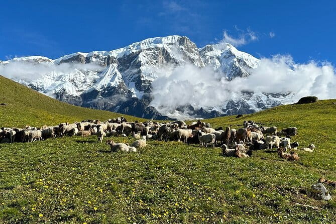 3 Day Kapuche Glacier Lake Trek with Siklesh from Pokhara - Who should book this trek?