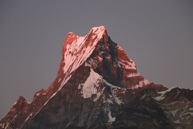 3 Day Mardi Himal Base Camp Trek from Pokhara - Day 2: Rhododendron forest to Mardi High Camp