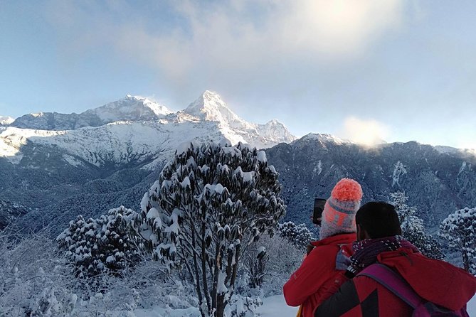3-Day Poon Hill Trek from Pokhara. - Transport and Booking Details That Matter