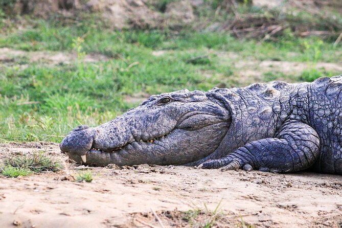 3 Days and 2 Nights Chitwan National Park Safari Tour in Pokhara - Elephant and canoe activities need a clear question