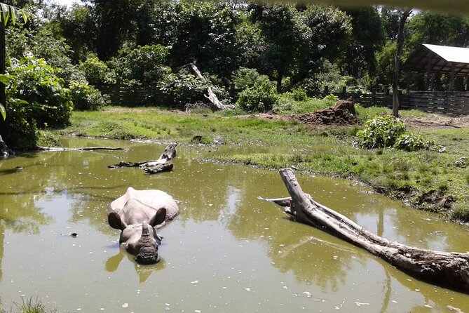 3 Days and 2 Nights Chitwan National Park Safari Tour in Pokhara - Two nights in Chitwan and what that buys you
