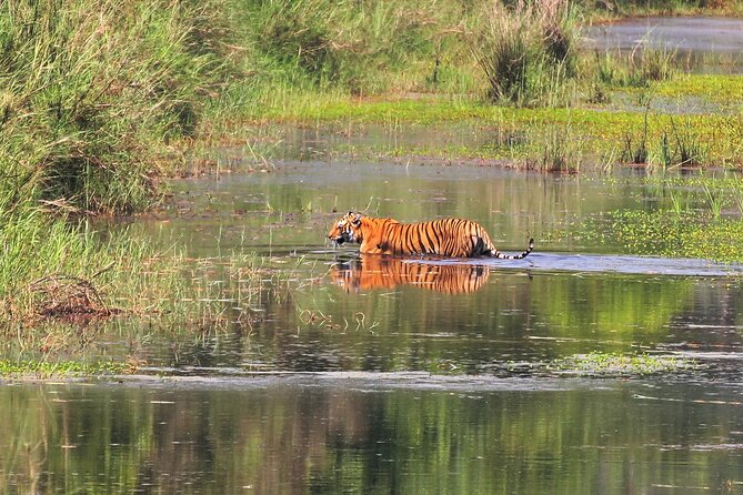 3 Days and 2 Nights Chitwan National Park Safari Tour in Pokhara - What the $215 price really covers