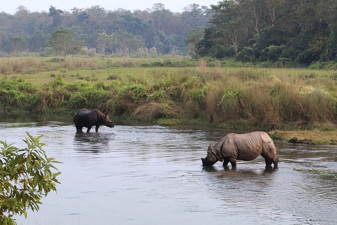 3 Days and 2 Nights Chitwan National Park Safari Tour in Pokhara - Group size, comfort, and practical fit