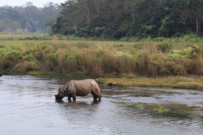 3 Days and 2 Nights Chitwan National Park Safari Tour in Pokhara - Sauraha, the Tharu village, and the evening show