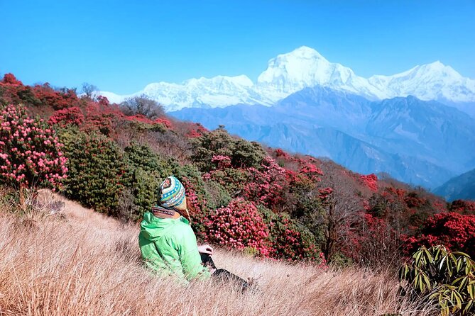 3 Days Ghorepani and Poonhill Private Trek from Pokhara - The private guide advantage
