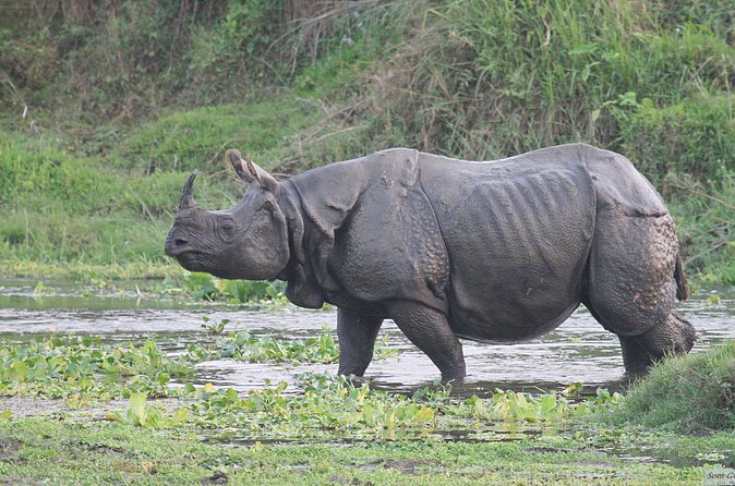 3 Days Jungle Safari in Chitwan National Park - Canoeing on the Rapti River