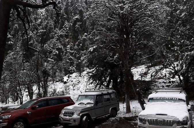 3 Days Kalinchowk Trekking from Kathmandu - Fitness, weather, and the right season for you