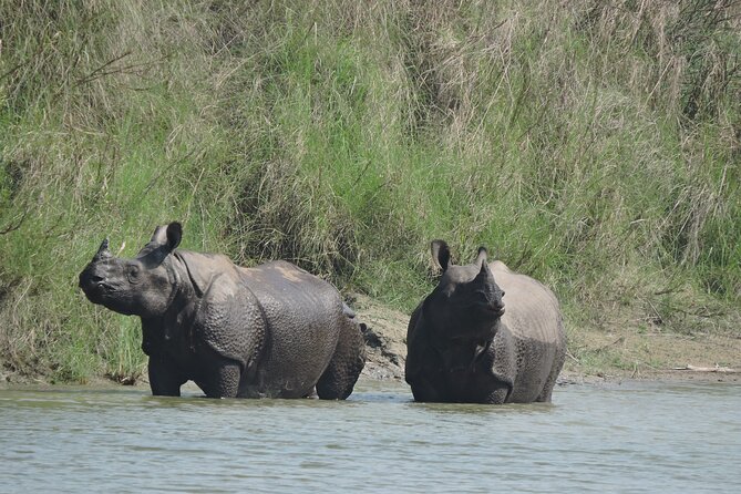 3 Nights 4 Days Bardia Tiger Tracking Tour | Bardia Jungle Safari - Key points at a glance