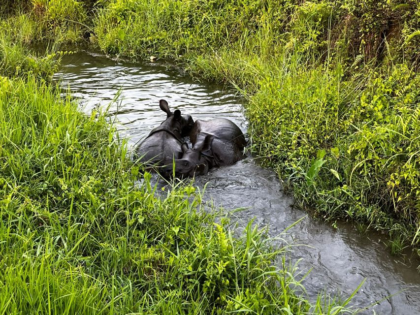 3 Nights 4 Days Chitwan National Park with Tower Night Stay - Should you book the $424 package?