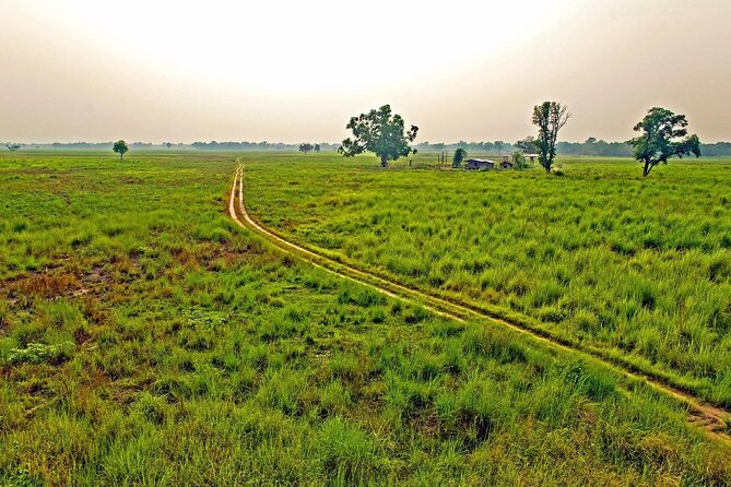 3 Nights 4 Days Chitwan National Park with Tower Night Stay - What $424 buys you in Chitwan