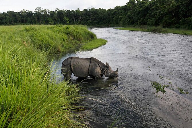 3 Nights 4 Days Chitwan National Park with Tower Night Stay - Day 2: Canoes, crocodiles, and the wooden tower