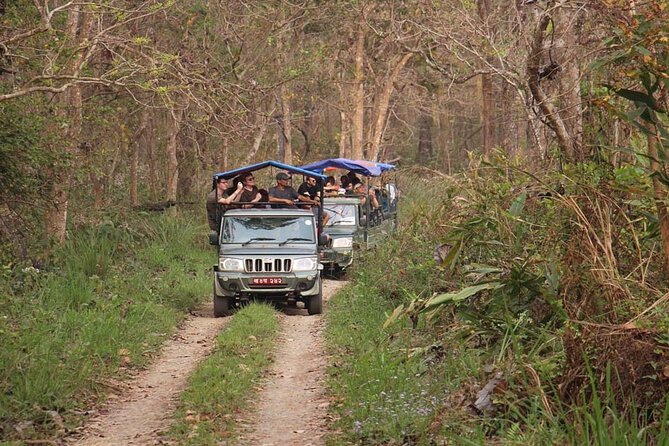 3 Nights 4 Days Chitwan National Park with Tower Night Stay - Day 3: A short jeep safari with real wildlife potential