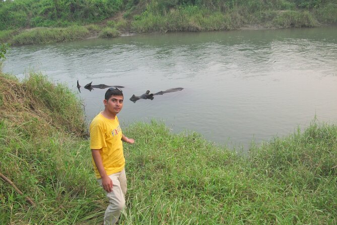 3 Nights 4 Days Chitwan National Park with Tower Night Stay - What you may actually see in Chitwan