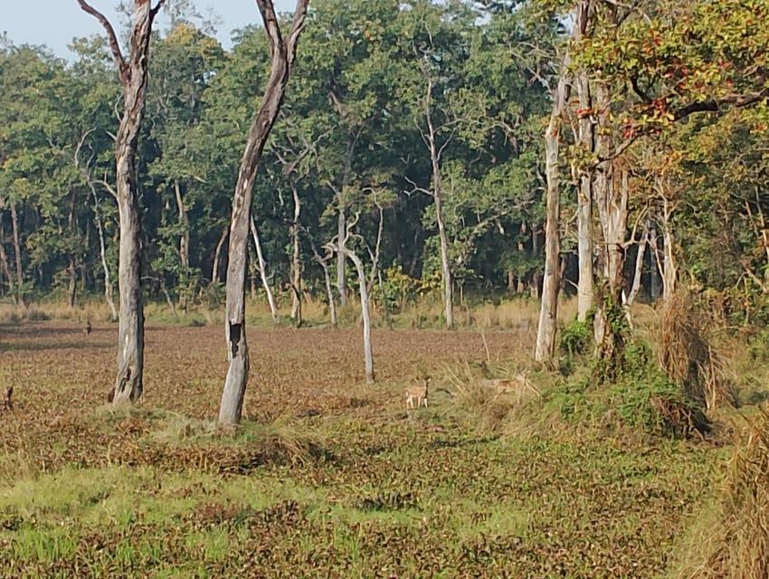 3 Nights 4 Days Chitwan National Park with Tower Night Stay - Who should book this Chitwan trip?