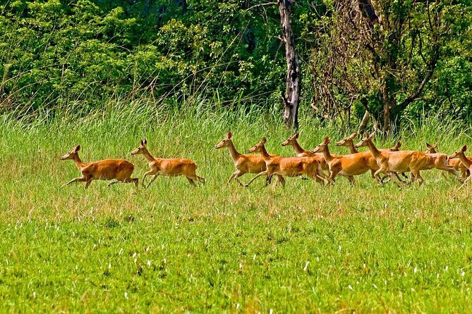 3 Nights 4 Days Chitwan National Park with Tower Night Stay - Day 1: The road from Kathmandu or Pokhara to Chitwan