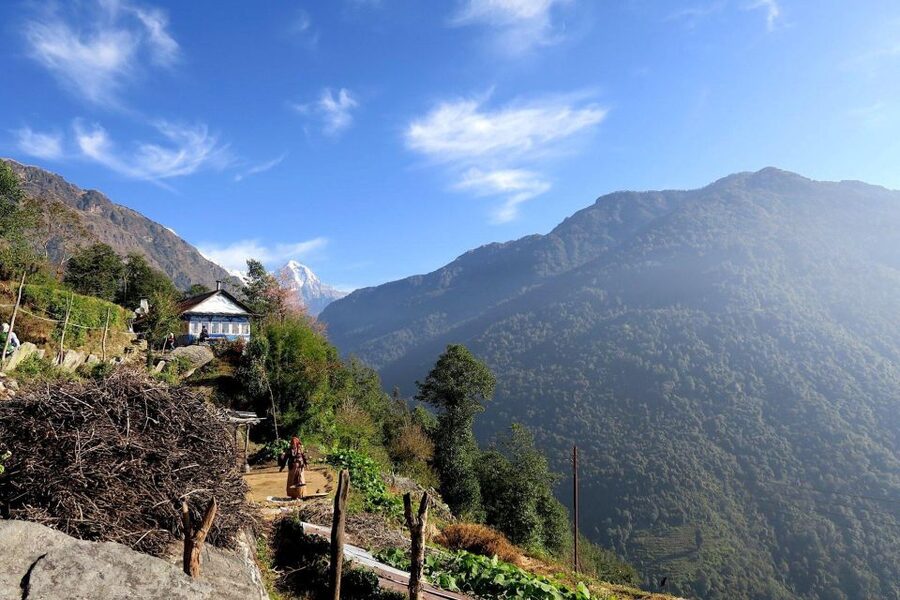 4 Day Poon Hill Trek from Pokhara - What the guide and private format add