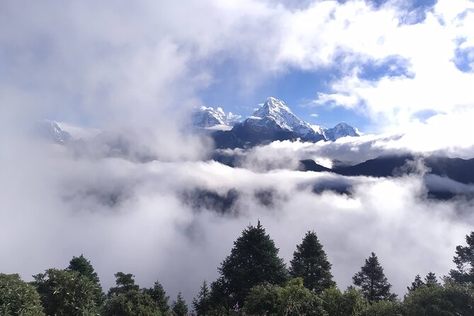 4-Days Amazing Short Trekking of Pokhara Valley - Day 3: The early climb to Poon Hill at 3,210 meters