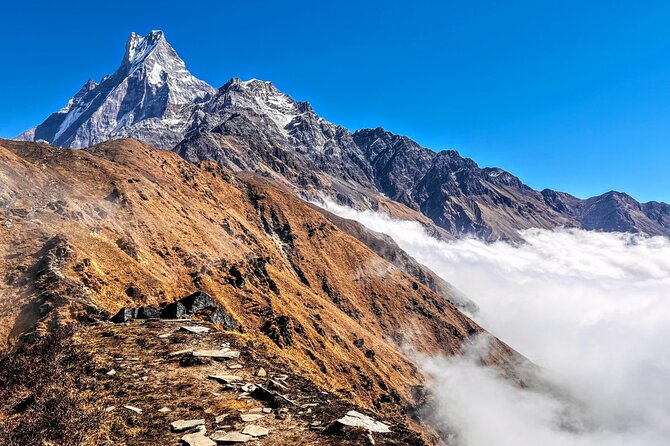 4 Days Mardi Himal Base Camp Trekking in Pokhara - Day three: Mardi Himal Base Camp and the long return