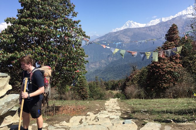 4 Days Poon Hill Trek from Pokhara - Guesthouses, meals, and the real cost