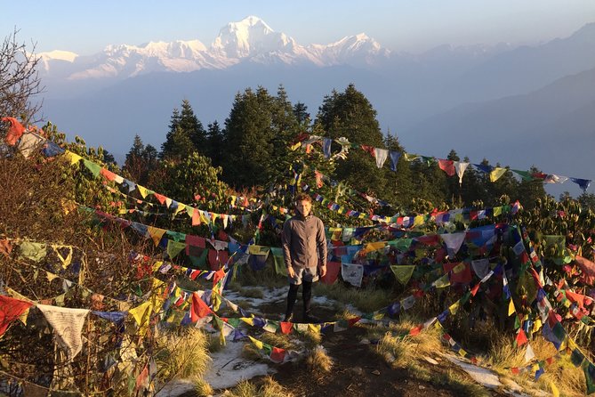 4 Days Poon Hill Trek from Pokhara - Day 2: Rhododendron forest on the way to Ghorepani