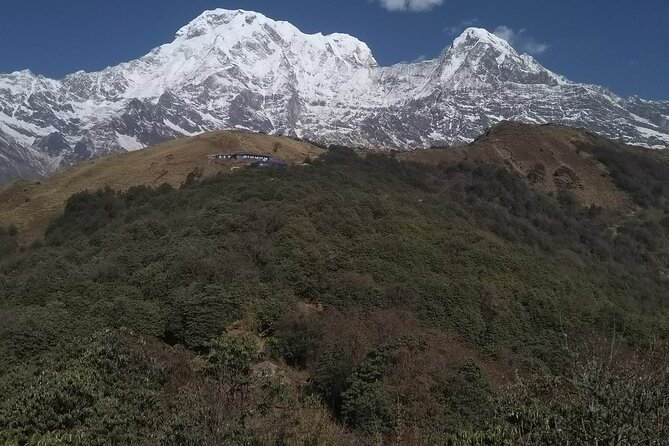 5 Days Mardi Himal Trek. - Cost, inclusions, and the real value