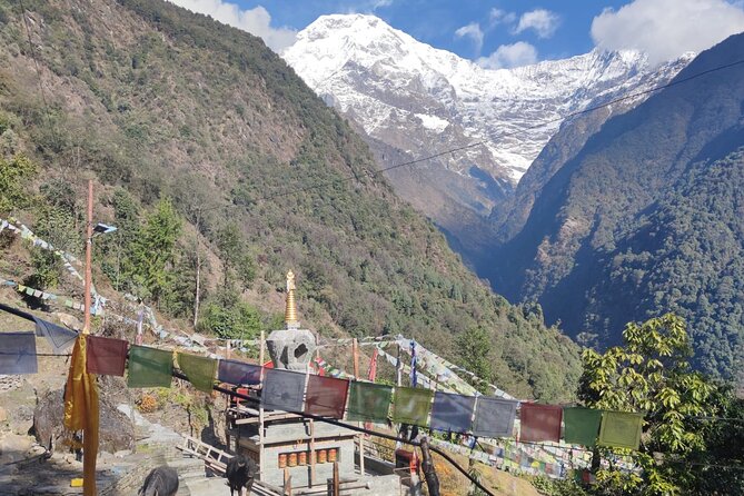 6 days Annapurna Basecamp Trek - Day six: returning to green hills and the Modi River valley