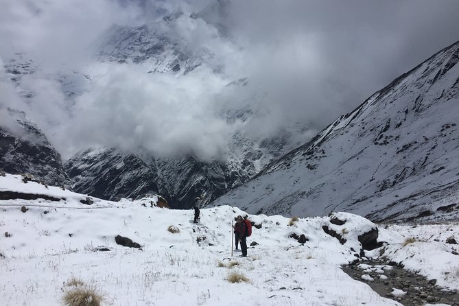 7 Days Annapurna Base Camp Trek from Pokhara - Day 5: Returning to Bamboo