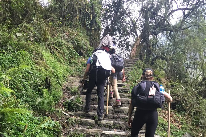 7 Days Annapurna Base Camp Trek from Pokhara - Day 2: The long route to Chhomrong