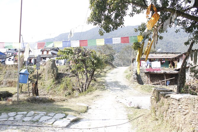7 Days Langtang Valley Trek from Kathmandu - Day 5: Sunrise at 4,800 meters, then a long descent