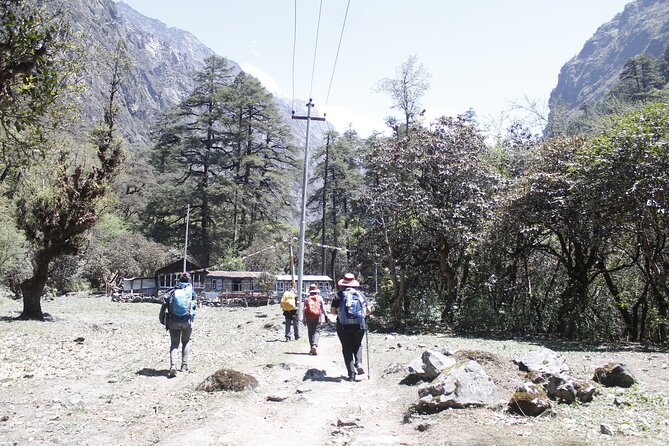 7 Days Langtang Valley Trek from Kathmandu - Day 6: Five hours downhill to Syabrubesi
