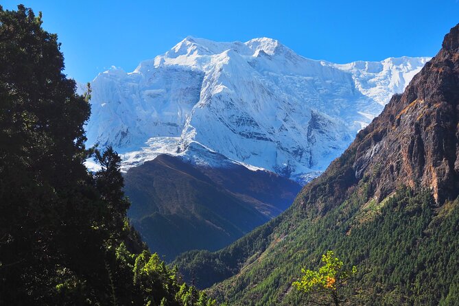 8 Days Private Guided Trekking in Annapurna Circuit with Pickup - Day 3: Ngawal, Annapurna views, and Manang