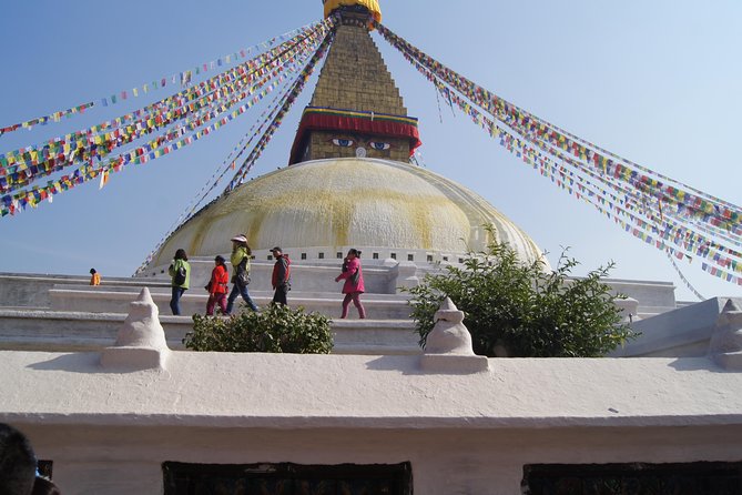 8 Days Special Nepal Tour Package - Day 5: Chitwan to Pokhara