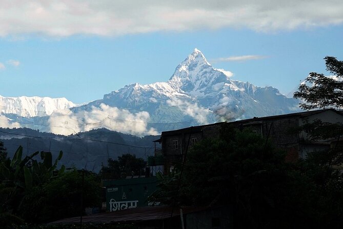 8 Days Tour in Nepal (3 Star Accommodation) - Day 4: Bird Watching and Jungle Safari