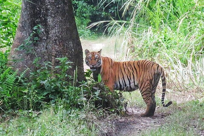 8 Days Tour in Nepal (Accommodation at 5 Star Hotel) - Day 3: The long road south to Chitwan