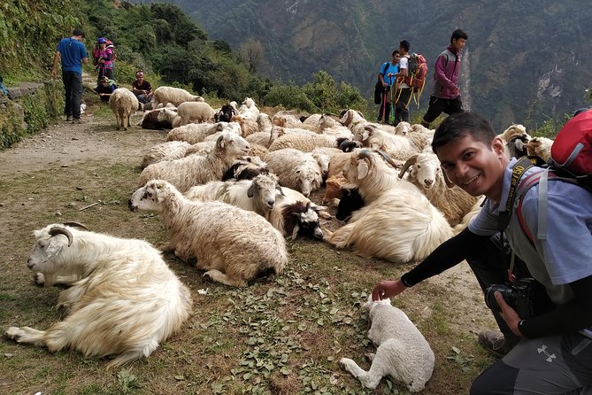Annapurna: 2 Days 1 Night Poon Hill Trekking - Why Poon Hill Works for a Short Nepal Trip