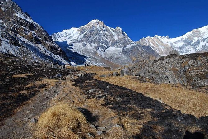Annapurna Base Camp, Nepal 10 days - Day 6: Machhapuchhre Base Camp and Annapurna Base Camp