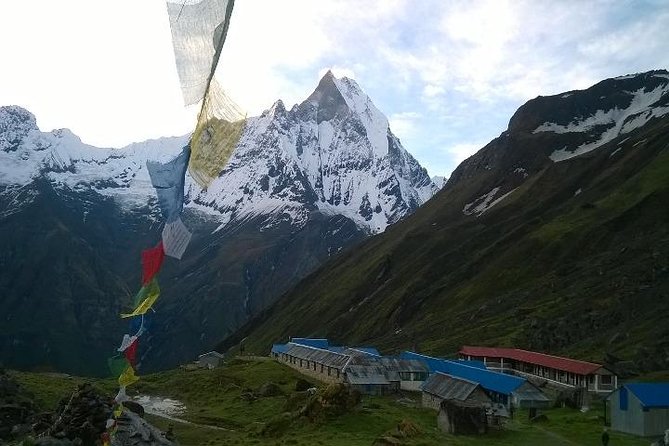 Annapurna Base Camp Trek - 11 Days - What this 11-day Nepal trek is really like