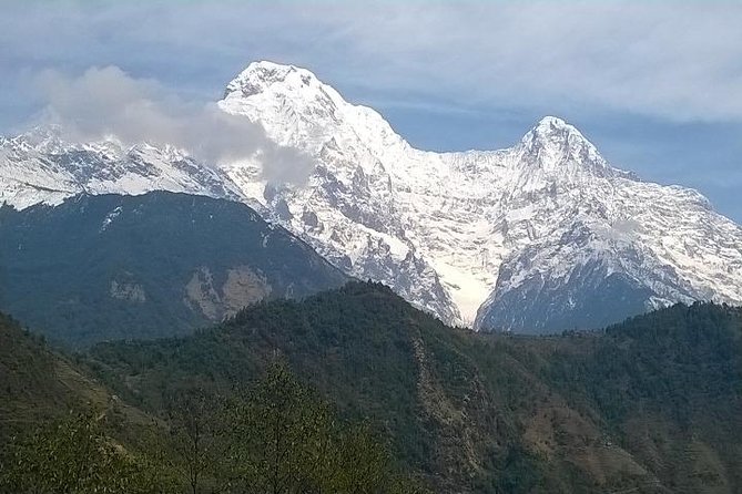 Annapurna Base Camp Trek - 11 Days - Day 6: Forest, Sinuwa, and the approach to higher country