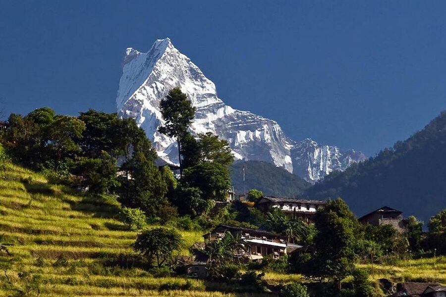 Australian Base Camp Day Hike From Pokhara - Key points to know before booking
