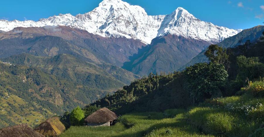 Australian Base Camp Day Hike From Pokhara - Reaching Phedi and returning to Pokhara