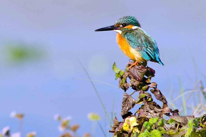 Best of Nepal Luxury Adventure Tour Package - 9 Days - Six reasons this Nepal tour earns attention