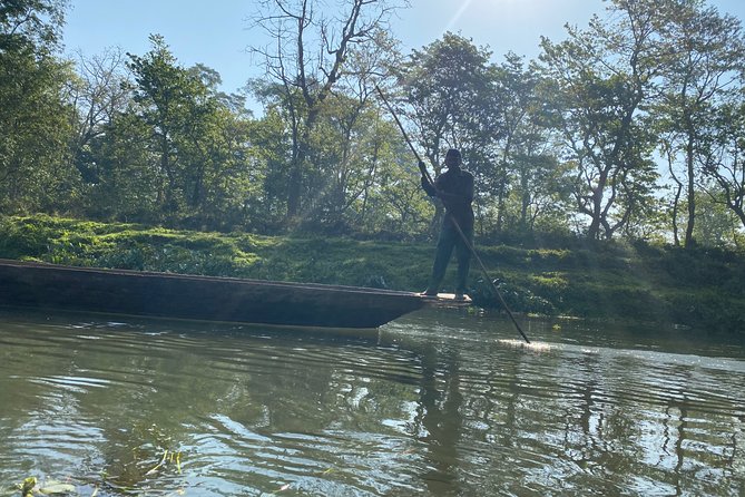 Canoeing and Nature Walk in Chitwan National Park - What wildlife can you realistically expect?