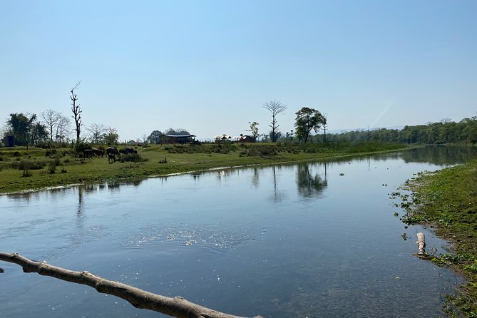 Canoeing and Nature Walk in Chitwan National Park - Timing, weather, and cancellation