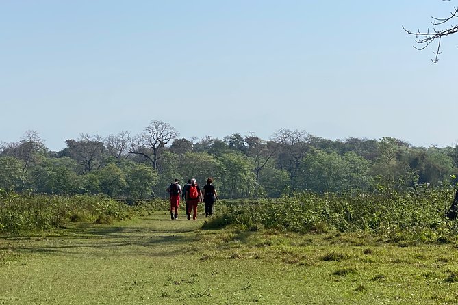 Canoeing and Nature Walk in Chitwan National Park - Starting on the Rapti River for 54 minutes
