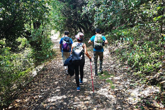Chisapani - Nagarkot Trek Nepal - 3 Days - Private touring, meals, and the lodge experience