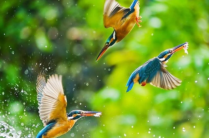 Chitwan 2 Nights All Inclusive Jungle Safari Tour - The guide and the human side of the trip