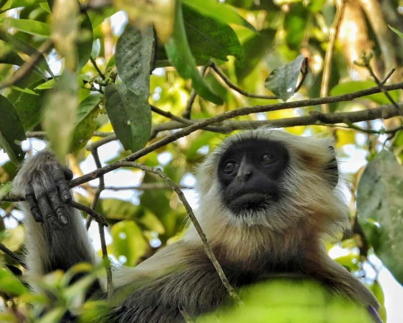 Chitwan: Full-Day Safari Canoeing and Jungle Walk and Jeep - Seasonal changes you need to understand