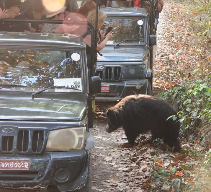 Chitwan: Full-Day Safari Canoeing and Jungle Walk and Jeep - The crocodile breeding center costs only 100 rupees