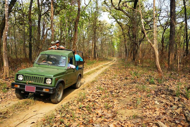 Chitwan Jungle Safari 3-Day Tour - Why Chitwan is worth the long ride from Kathmandu